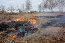 В Майминском районе за сутки произошло два возгорания сухой растительности