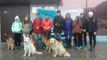 Общество инвалидов Майминского района + "Клуб собаководства "Альфа"  = "Лапа помощи"