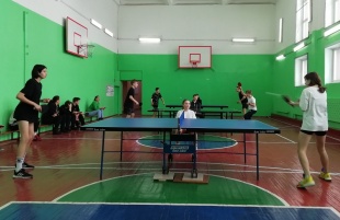 В Майминской школе №3 имени В.Ф. Хохолкова состоялись районные соревнования по настольному теннису