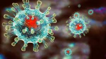 Оперативный штаб Республики Алтай информирует: на 9 ноября выявлено 8908 случаев заболевания коронавирусной инфекцией