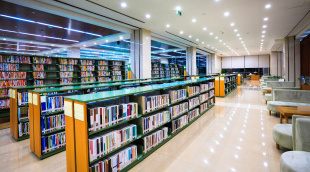 Майминская центральная библиотека станет модельной в 2021 году.