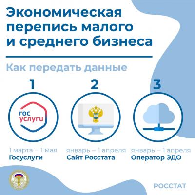 Экономическая перепись 