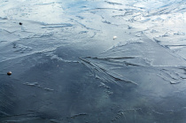 Спасатели предупреждают об опасности выхода на тонкий лед