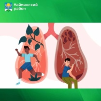 8-14 декабря — Неделя профилактики потребления никотинсодержащей продукции