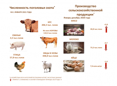 О СЕЛЬСКОМ ХОЗЯЙСТВЕ 